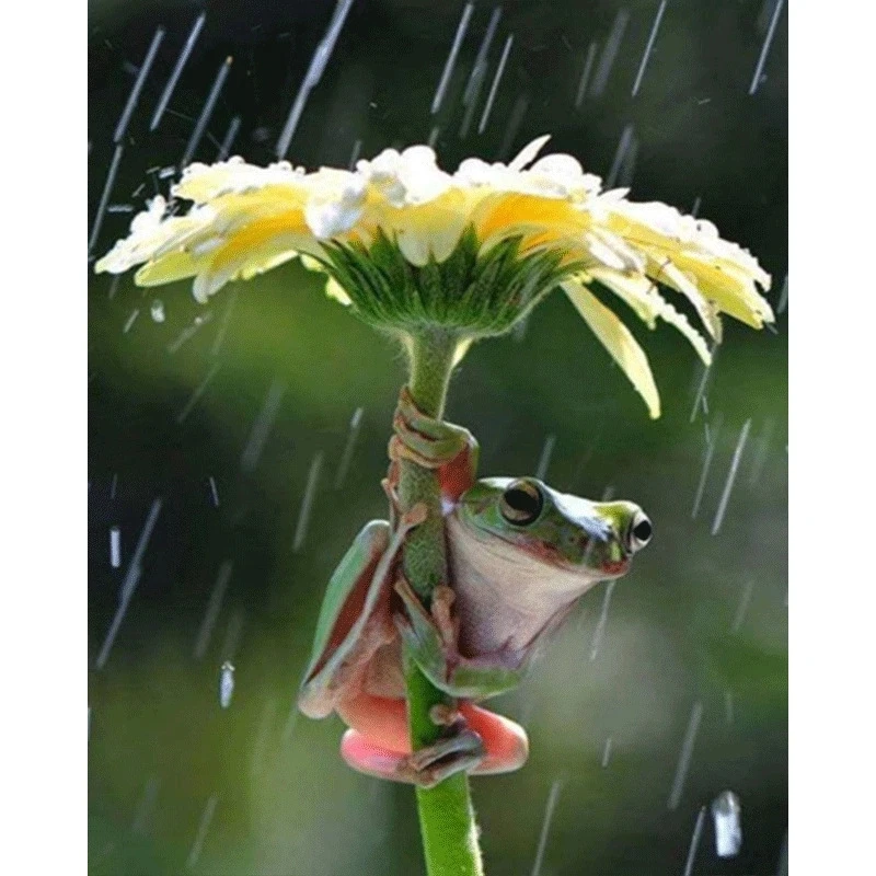 

DIY 5D Full Diamond Painting Cross Stitch Flower frog Diamond Embroidery Needlework Patterns Rhinestone kits