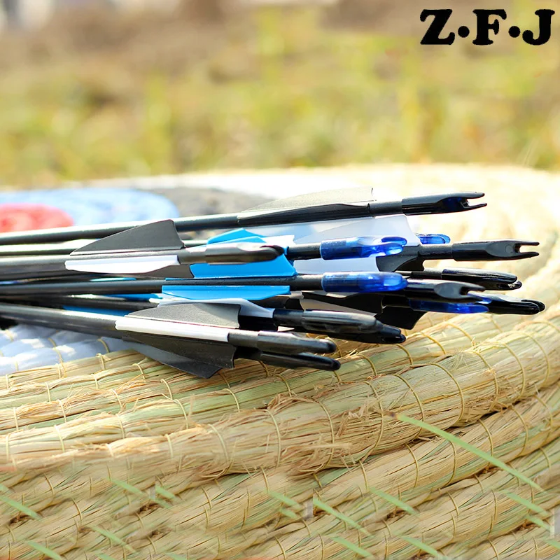 12Pcs Spine 1100 Fiberglass Arrows OD 6.0mm 80cm 2.5" Plastic Vanes For