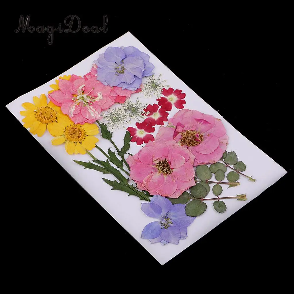 Multiple Real Pressed Leaves Natural Dried Flowers for Arts Crafts Scrapbooking Card Making Resin Jewelry Making Mold Filler