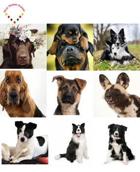 

DIY Black white dog 30x30 diamond painting cross stitch diamond embroidery round diamond Rhinestones diamond full plastic crafts