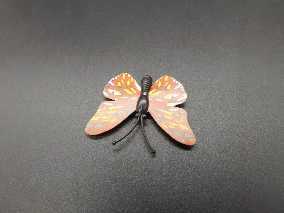 I255-Butterfly (8)