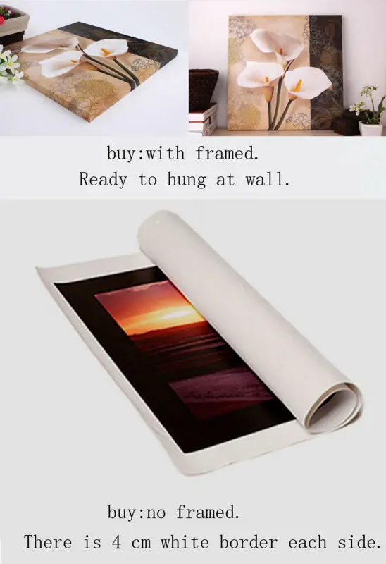 HTB14qLlGVXXXXbsXFXXq6xXFXXXd