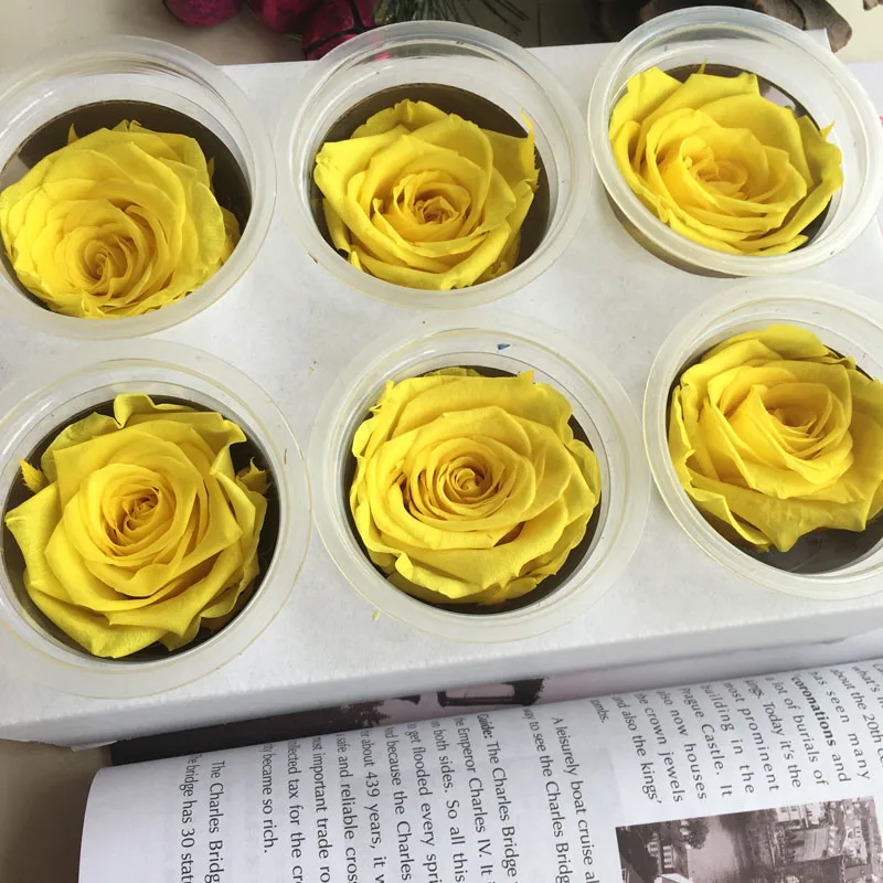 5 6cm 6pcs High Quality Flowers Beauty And The Beast Eternal