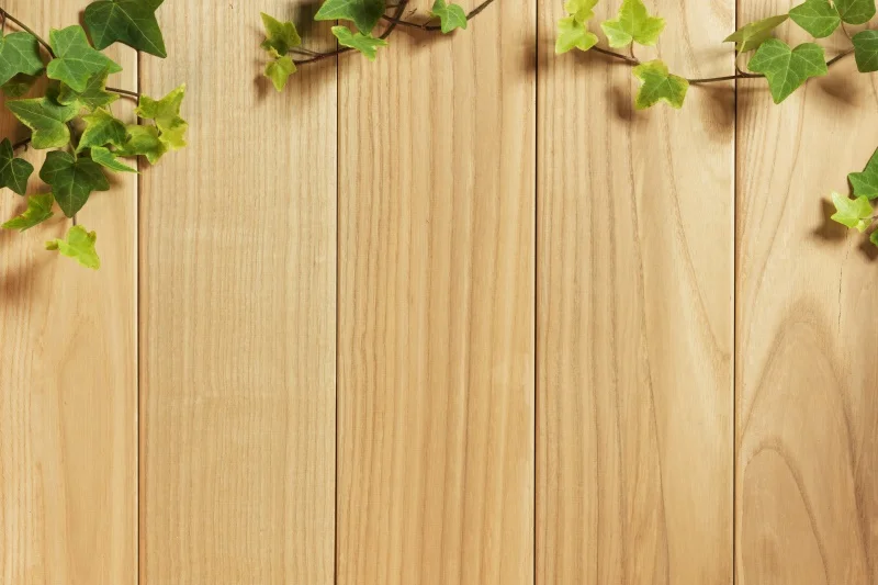 

Laeacco Wooden Board Green Leaves Rattan backgrounds for Photo Backgrounds Photophone Studio Photography Backdrops Photophone