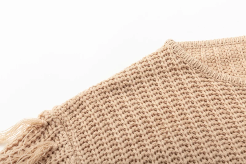 ShejoinSheenjoy Tassel Long Sleeve Knitted Sweater Women Tops Pullovers O-Neck Autumn Winter Short Pullover Women Sweaters (8)