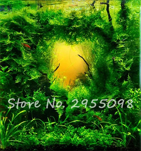 84970bed9a58af9f89f42376323e8591