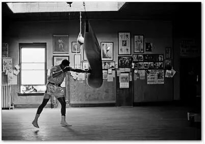 

Muhammad Ali King of Boxing The Greatest Player Art Wall Decor Silk Print Poster