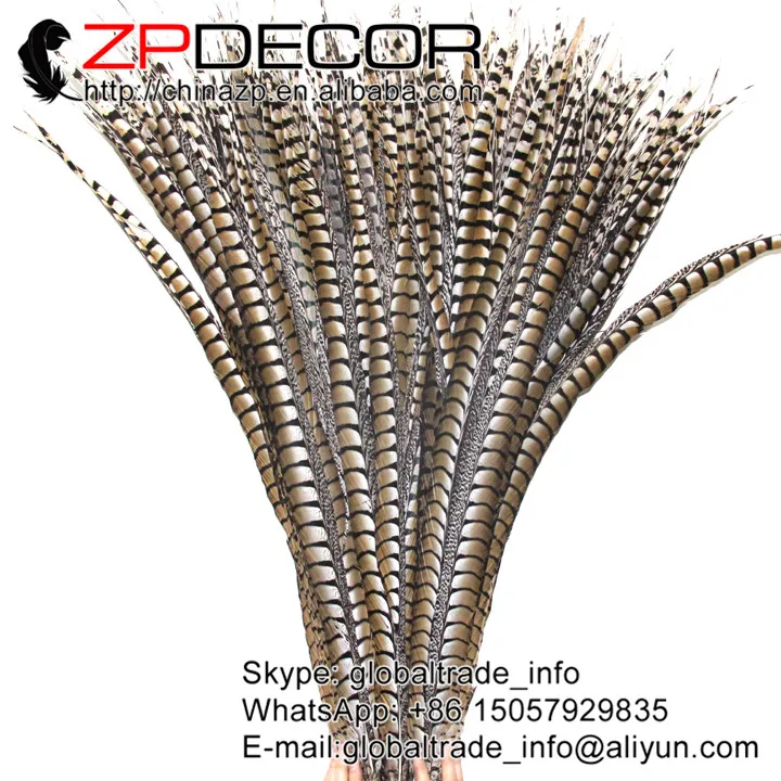 Ведущий поставщик ZPDECOR 40 44 дюйма (100 110 см) 10 шт./лот натуральная леди Amherst фазан