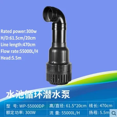 06_conew1