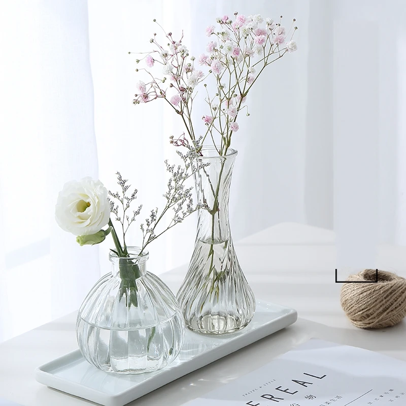 Transparent Glass Bottle Aquatic Plant Culture Containers Small