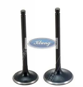 

Free Shiping ! CFMOTO 250cc 172mm CF250 engine intake or exhaust valve of v5,kazuma,kinroad goka 250 buggy go kart