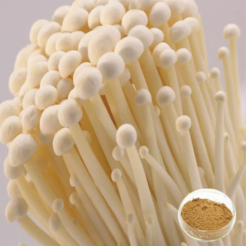  200-500gram Enokitake Needle Mushroom Extract 50% Polysaccharides Flammulina Velutipes Extract Free