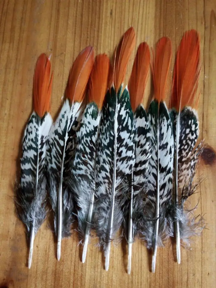 

50 pieces quality natural Lady Amherst Pheasant feathers, 6-8inches / 15-20cm DIY decorative handicrafts accessories
