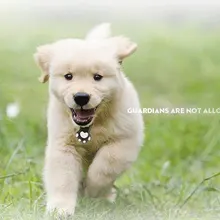 Pet GPS Locator Smart Anti-Lost LBS Positioning Device for Dog Cats MU