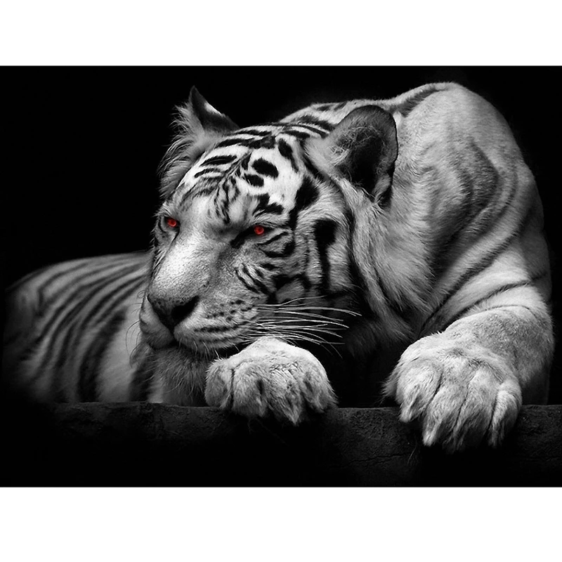 Download 4500 Gambar Harimau Mata Merah Keren Gratis