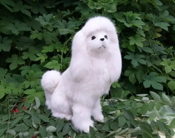 

Dame simulation poodle dog photography props Household adornment furnishing articles Valentine's day, birthday gift
