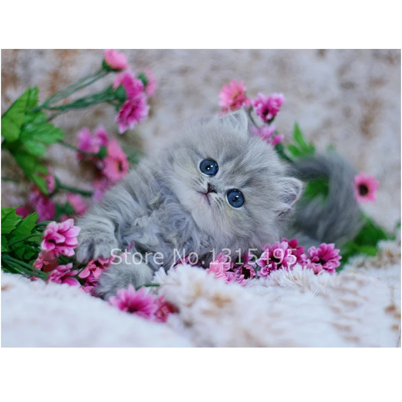 

Embroidery diamond mosaic painting cat chinese cross stitch diamond pattern picture of rhinestones the paintings on the wallE198