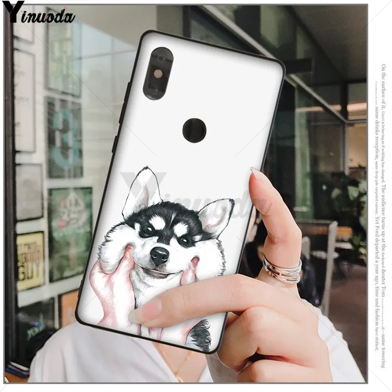 Animal Husky cute Puppy Dog