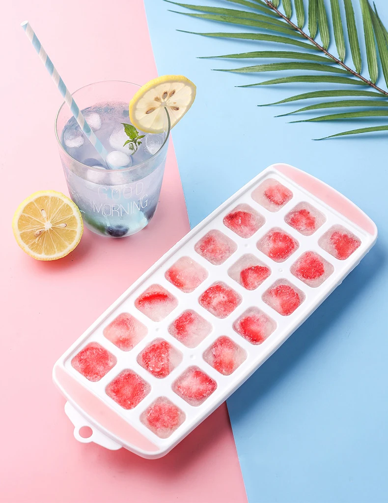 ice cube tray (2)