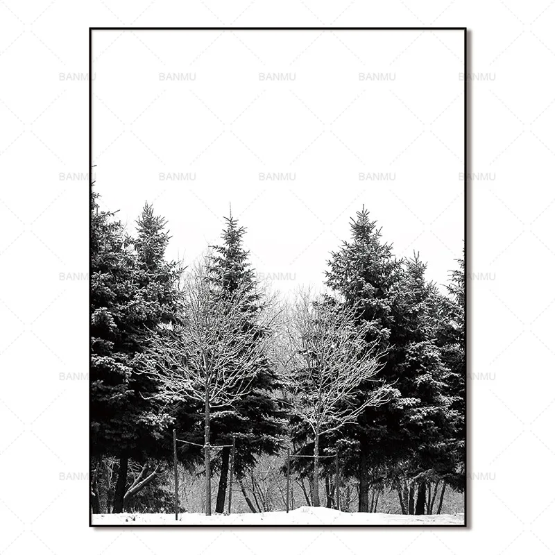 WP0050-1