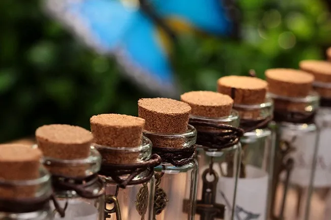 1955190536_1159440446