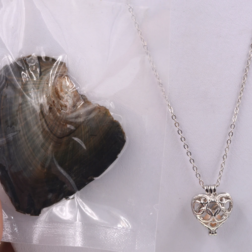 

2017 Lady Women 10pcs Pretty Heart Pearl Cage Pendants Locket Charms For Akoya Oyster Pearl Necklace 2017 Female Wedding
