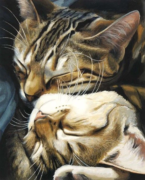 1243520992_cats_03