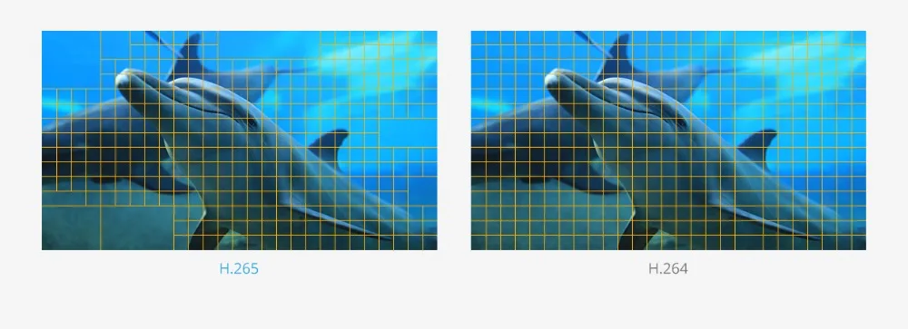 1-15061214532W60