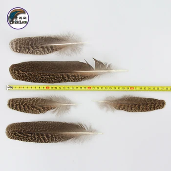 

4-12 Inch(10-30 cm) Wholesale Hot-Selling High Quality Gorgeous Peacock Wing Feather for Decorations