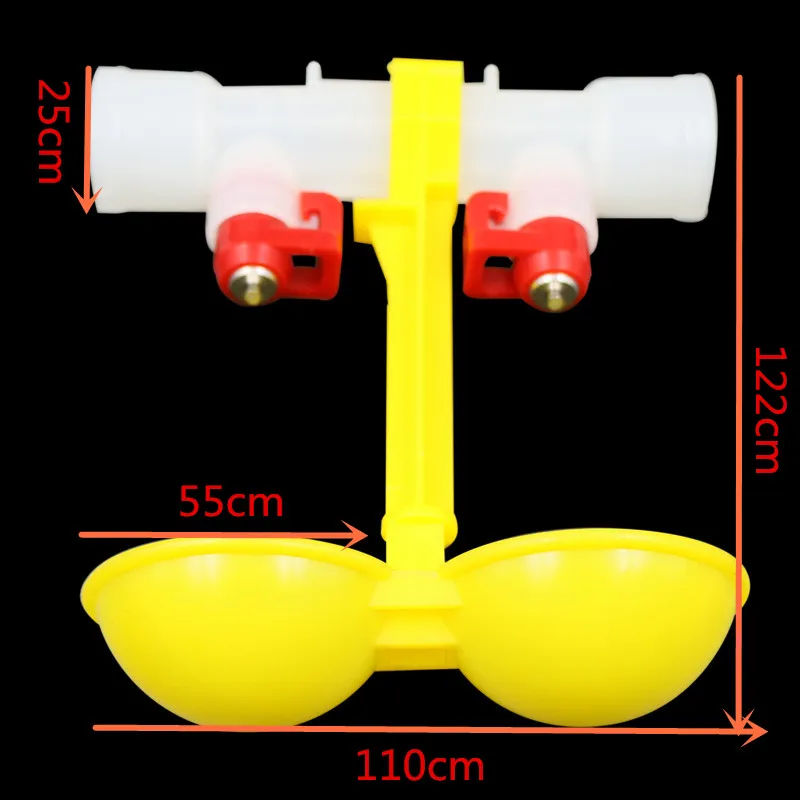 25cm