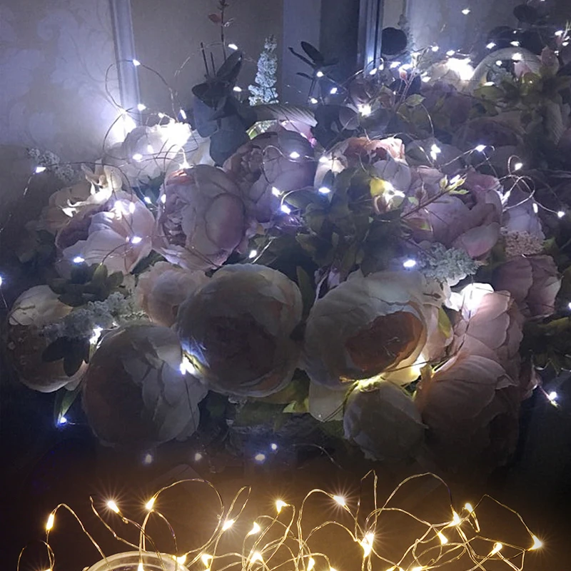 Copper Wire String Light 001 (3)