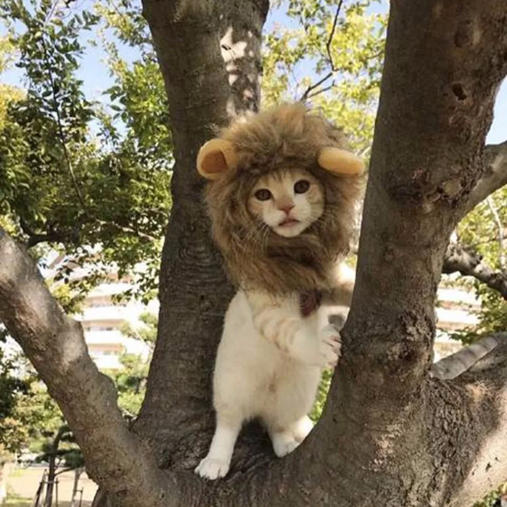 Download Aliexpress.com : Buy Cute Pet Cap Cosplay Costume Lion Shape Hat Doggy Kitty Lion Mane Hat ...