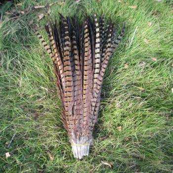 

Wholesale 200 pcs beautiful Naturally Pheasant Feather 16-18 inches 40-45 cm free shipping