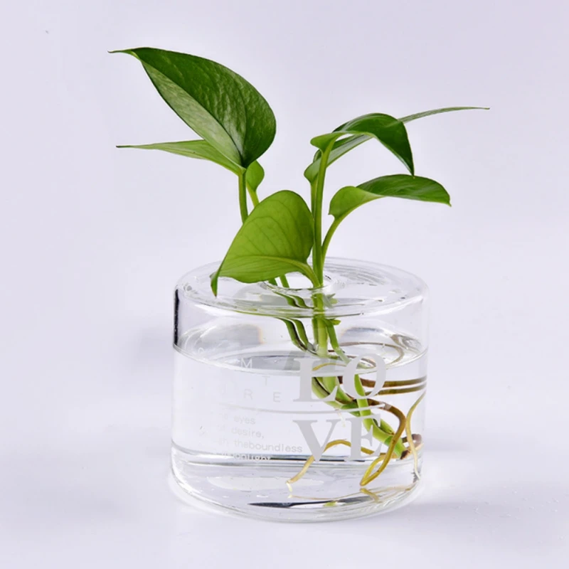 

Clear Glass Vase Hyacinth Flower Pot Letter Printed Glass Planter DIY Terrarium Container Decor Art Gift