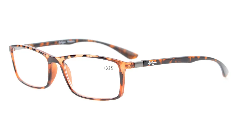 R113DEMI (3)