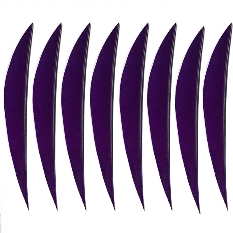 archery feather  13(1)