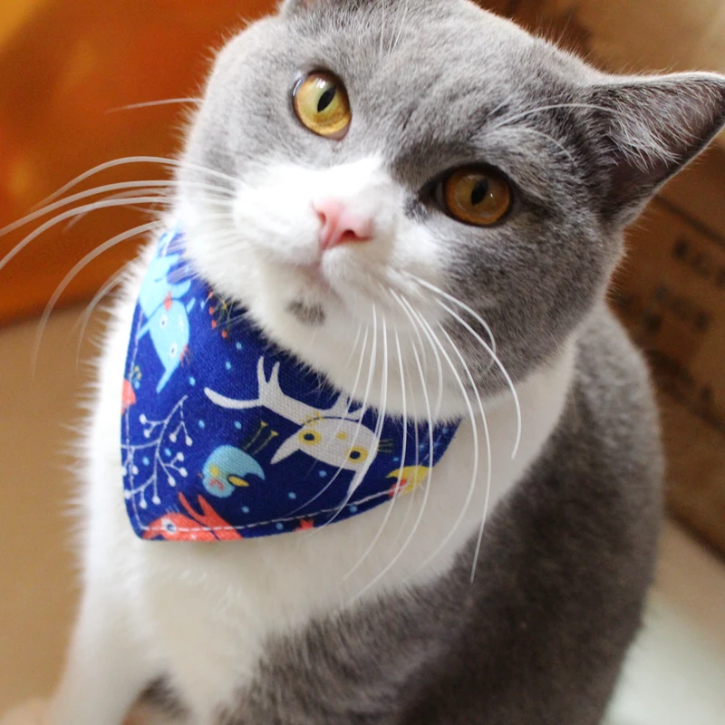 

[MPK Cat Collars] Cat Collar, Khoushui-tsin Design Catwear, Cat Napkin