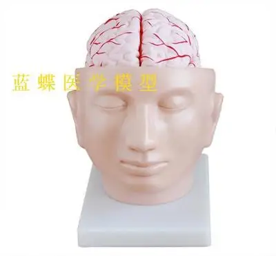 T1Ee8.FxpXXXXXXXXX_!!0-item_pic.jpg_400x400
