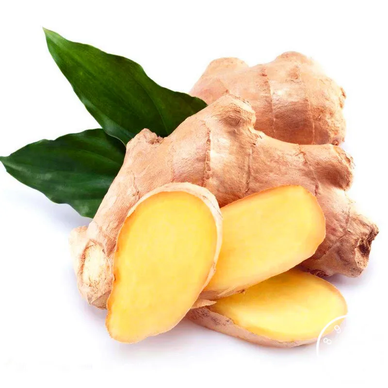 New Fresh 100 Pcs/Bag Ginger garden Balcony Vegetables Potted Bonsai Plant flores Four Seasons Zingiber plantas Plants ,#FT3O7