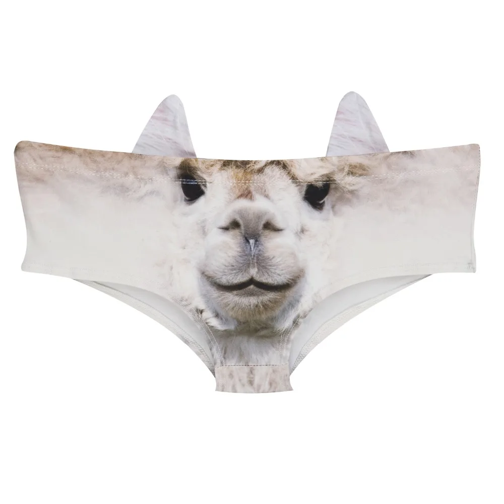 46727 lama (2)