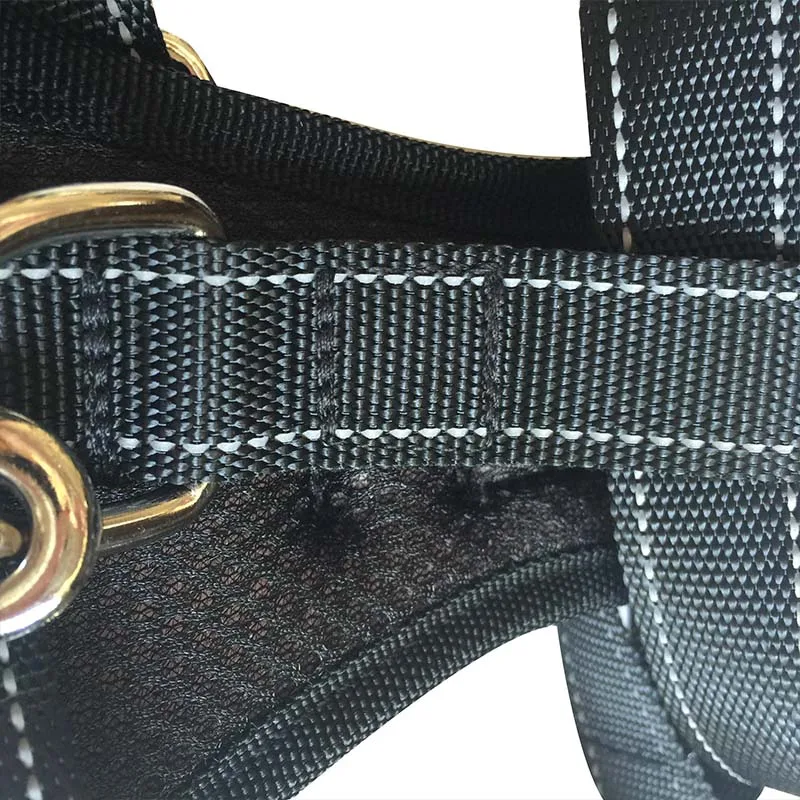 dog harnens car seat belts (11)