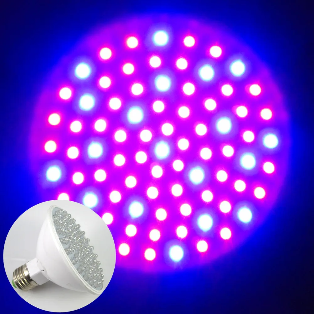 Hydroponic Plant Grow Growth Led Light E27 RED and BLUE 80
