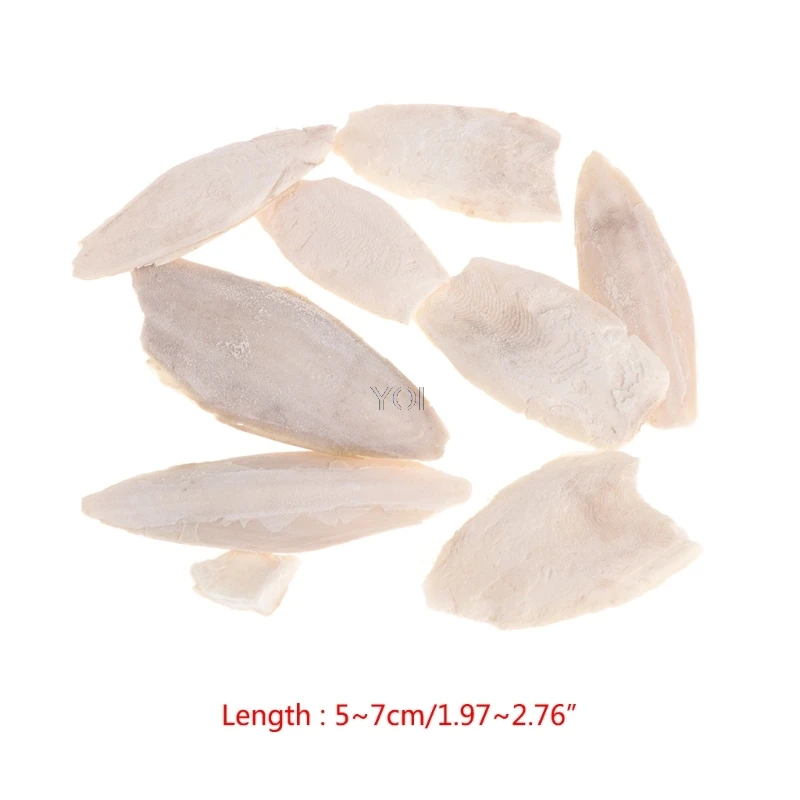 

1 Bag Cuttlebone Cuttlefish Sepia Bone Cuttle Fish Bird Food Calcium Pickstone Pet