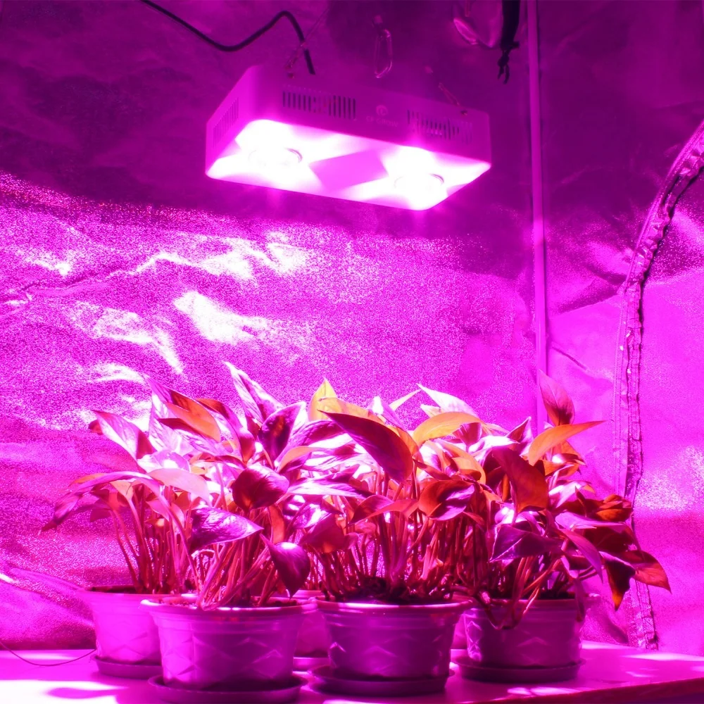 CF Grow 300 W COB светодиодный свет для выращивания полного спектра Крытый гидропонная теплица подсветка для рассады Замена НЛО растущая лампа