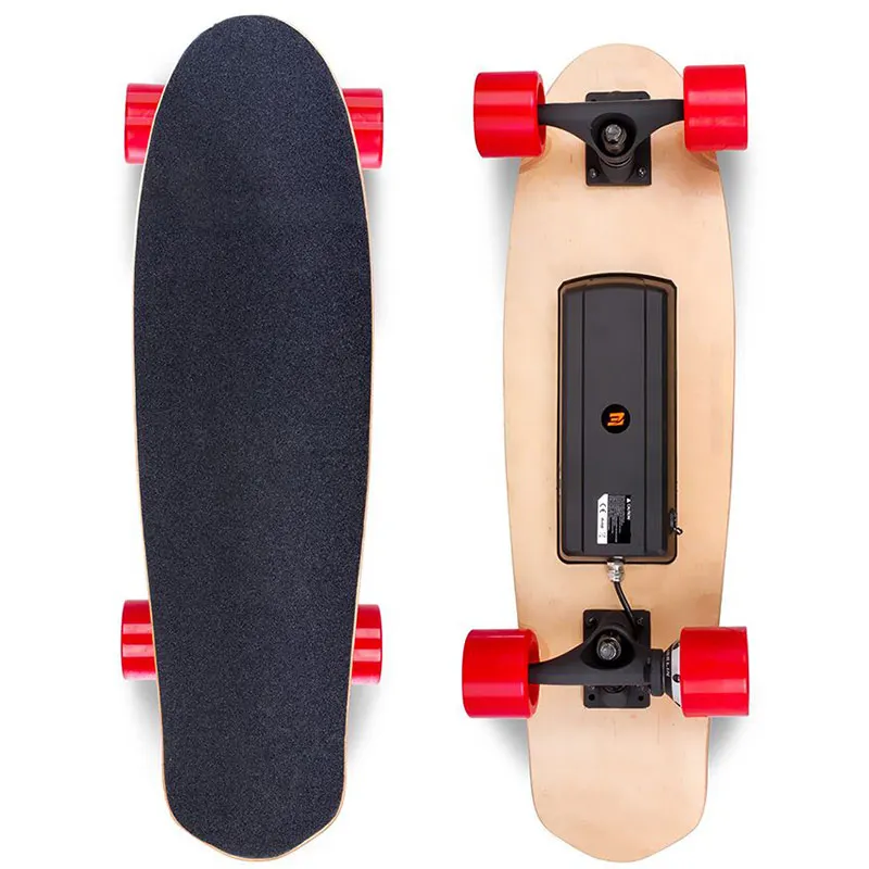 Hoverboard Four wheels Electric Skateboard Long Board Double Brake