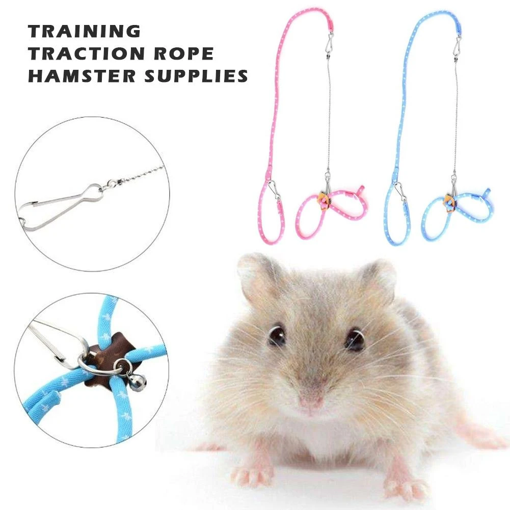 Hamster On A Lead ubicaciondepersonas.cdmx.gob.mx