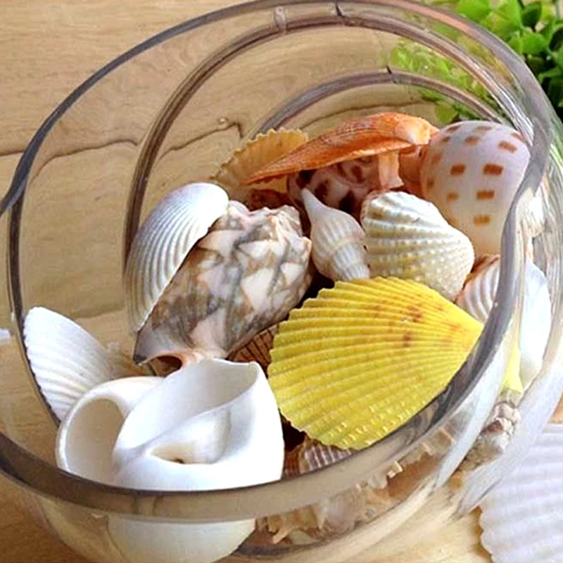 100g/120g Sea Shells Aquarium Decoration Style Mediterranean Shell / Conch Aquarium Parts Christmas/wall Hanging Decoration