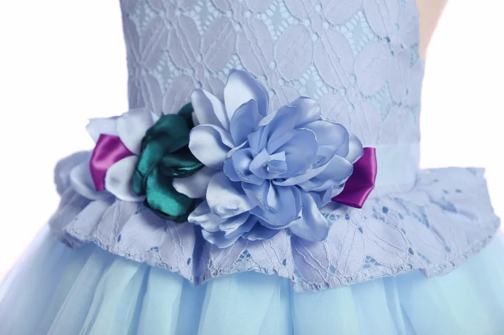 9074473727_655484822