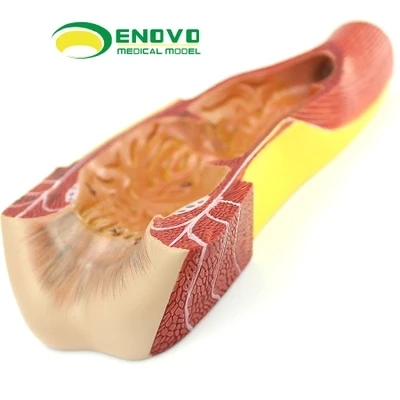 TB21OU3o4SYBuNjSspjXXX73VXa_!!2030059143.jpg_400x400.jpg_.webp