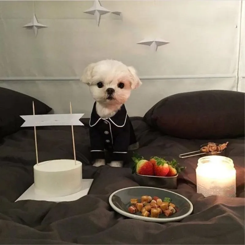 

French Style Dog Clothes For Small Gogs Pet Summer Soft Clothing Jumpsuit Dogbaby Solid Pajamas Sleepwear Puppy Chihuahua